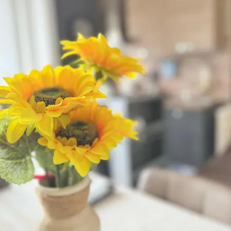 Monolocale Con Tutti I Confort Turijn